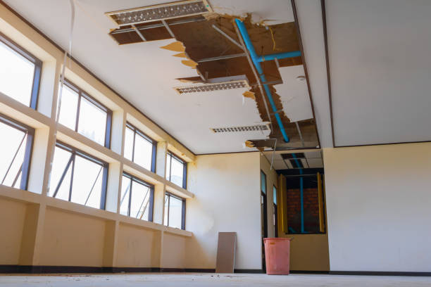 Best Local water damage restoration  in North Auburn, CA