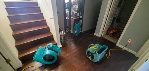 Best Sewage cleanup and water damage restoration  in North Auburn, CA