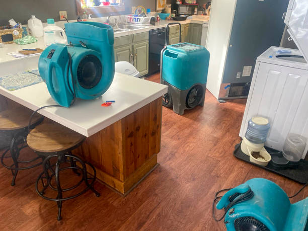 Best Professional water damage repair  in North Auburn, CA