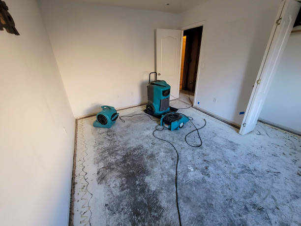 Best Water damage repair service  in North Auburn, CA