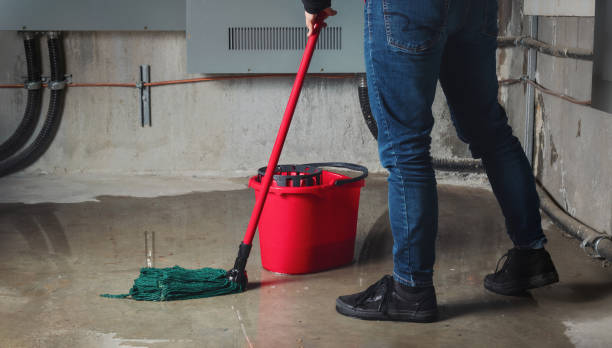 Best Local water damage restoration  in North Auburn, CA