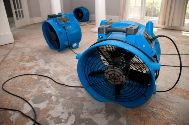 Best Commercial water damage restoration  in North Auburn, CA