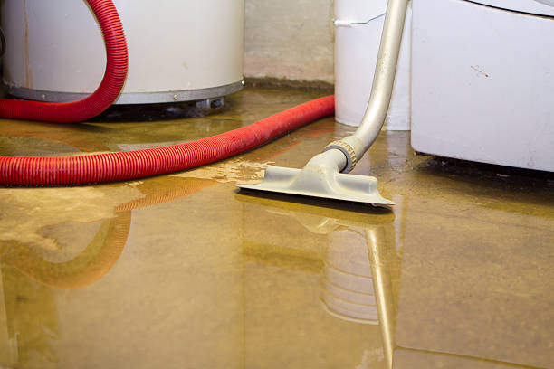 Local water damage restoration in CA