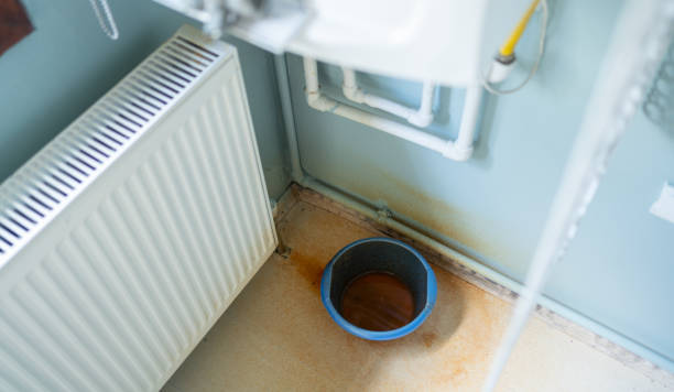 Best Ceiling water damage repair  in North Auburn, CA
